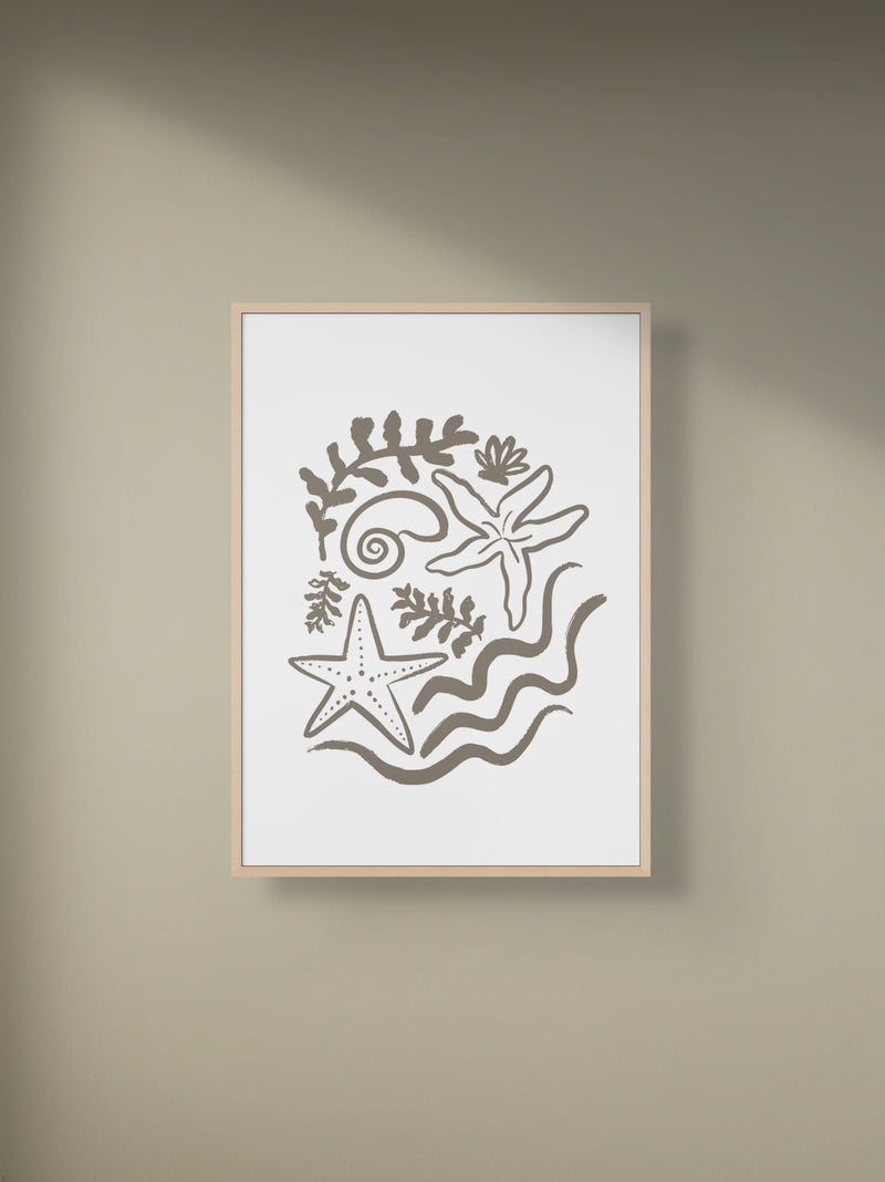 SEA SHELLS - premium poster